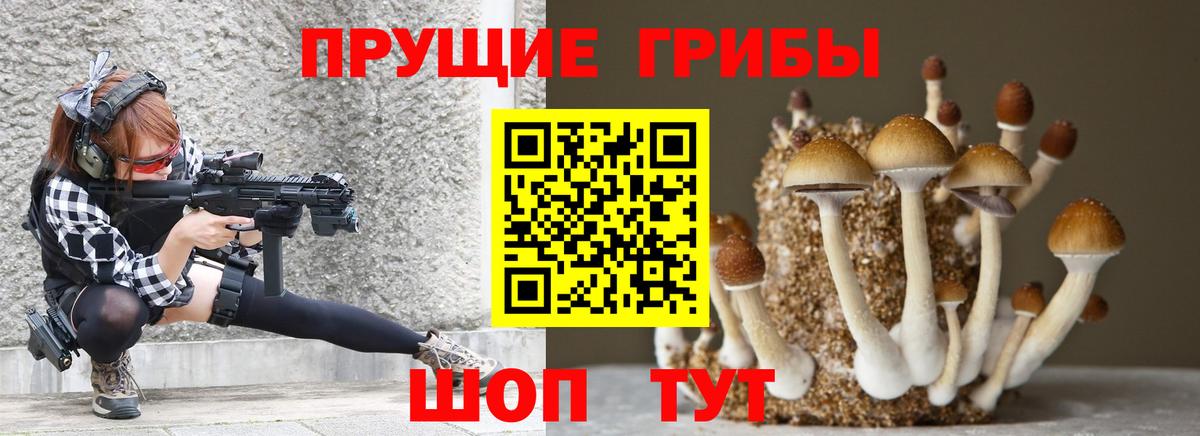 Псилоцибиновые грибы Psilocybe Нефтекамск