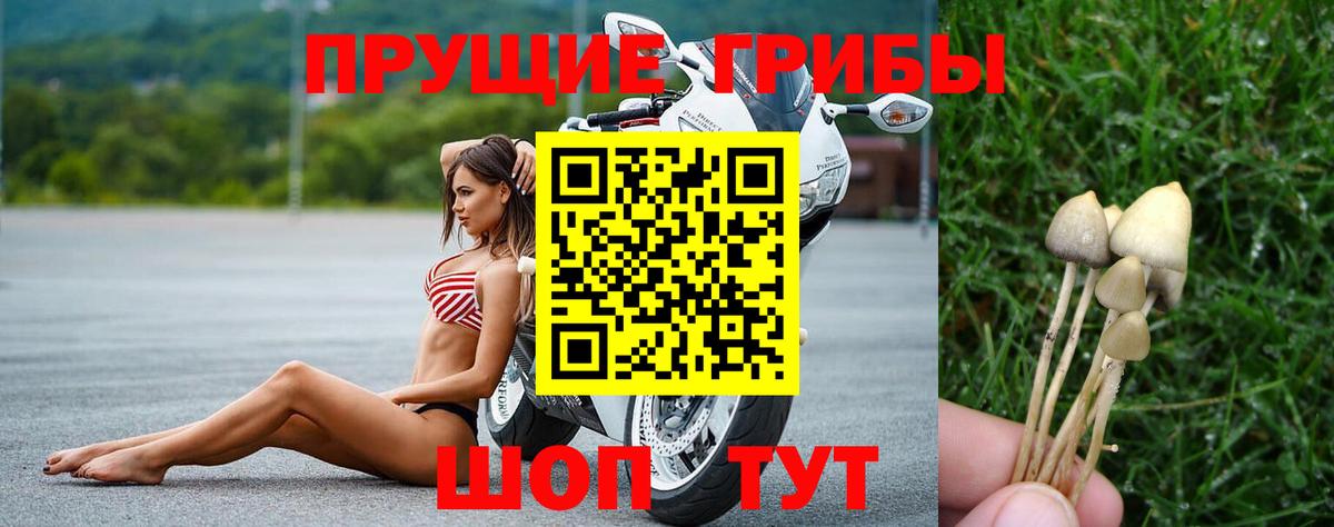 Нефтекамск  Псилоцибиновые грибы Psilocybe  Вход с VPN 